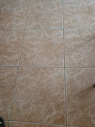 Limpieza de comunidades en fuenlabrada.