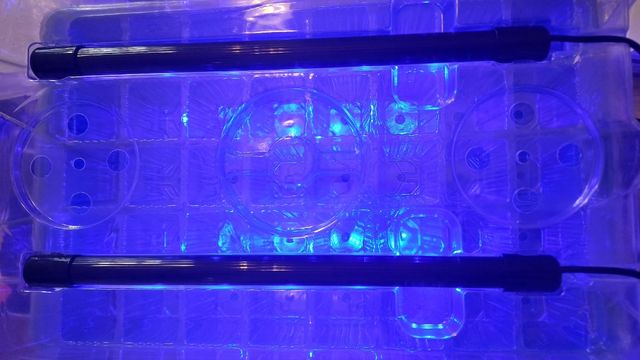 Bandeja germinacion semillas 72 alveolos