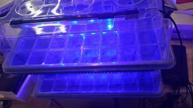 Bandeja germinacion semillas 72 alveolos