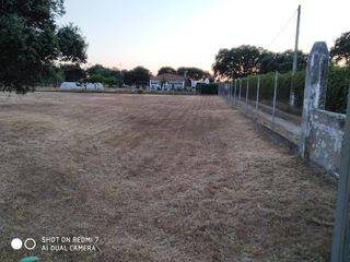 Finca con jardín Navalmoral de la Mata