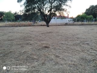 Finca con jardín Navalmoral de la Mata