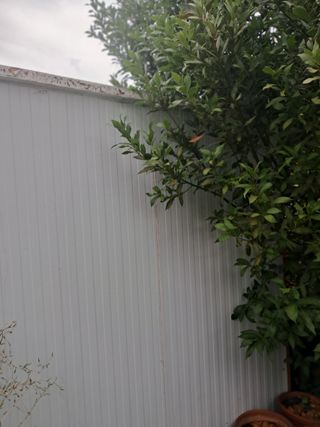 Casita de jardín  ¡Como nueva!