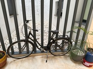 Bicicleta paseo clásica