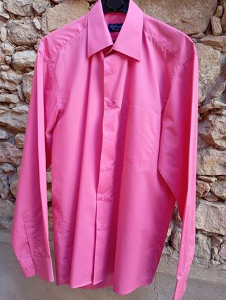 Camisa caballero