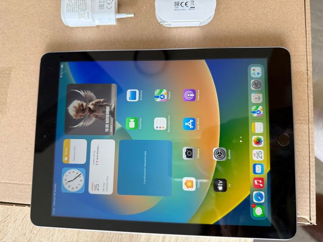 iPad 5ª Gen 128Gb - Plata