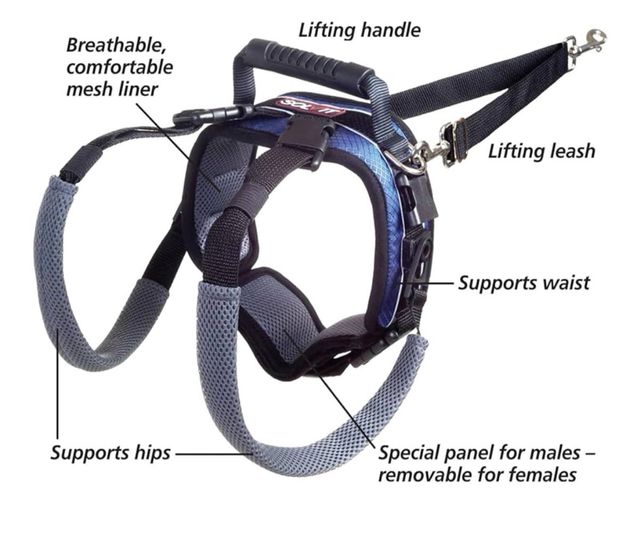 Arnés PetSafe CareLift para perros grandes