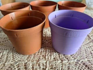 Vasetti per piantine