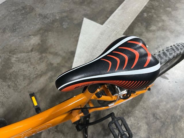 Bicicleta niño BPRO 20" en perfecto estado