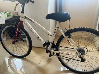 Bicicleta blanca