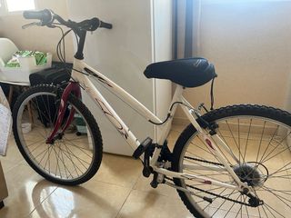 Bicicleta blanca