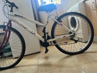 Bicicleta blanca