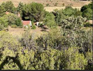 Chalet independiente de 150 m en parcela de 5000 m