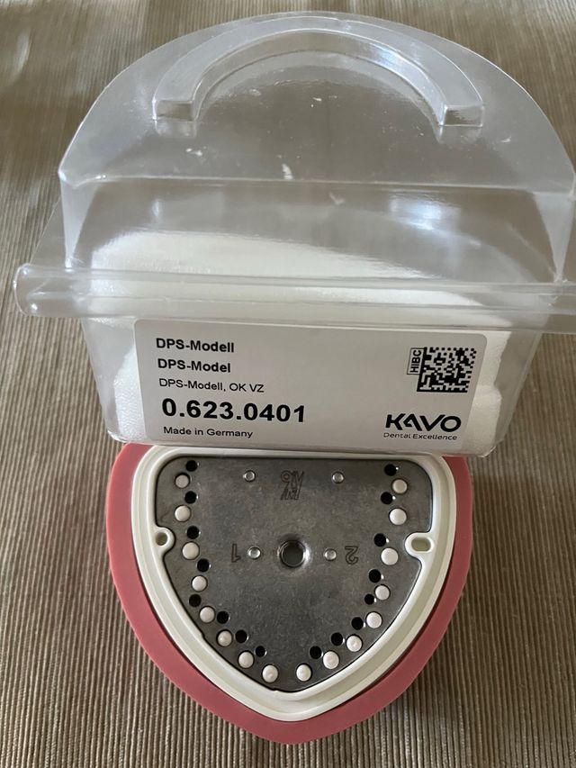 Tipodonto superior Kavo DPS-Modell