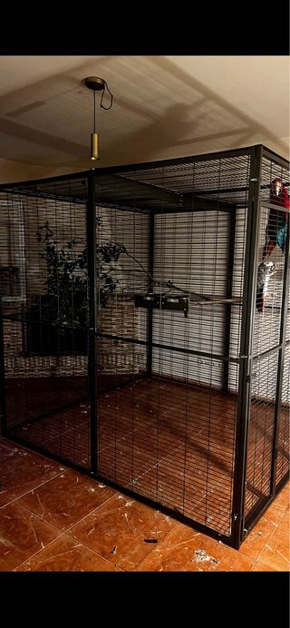 Voladeras IMOR loros/rapaces