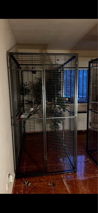 Voladeras IMOR loros/rapaces