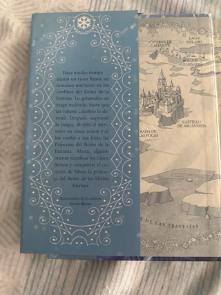 Princesa de los Hielos: Princesas del Reino de ...