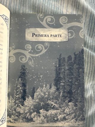 Princesa de los Hielos: Princesas del Reino de ...