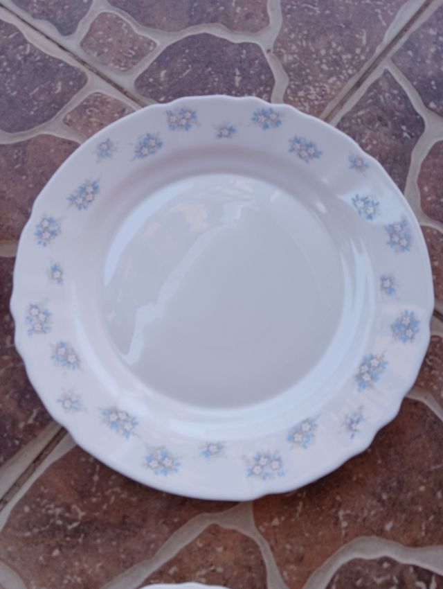 Vajilla Arcopal (Cristal, Porcelana)