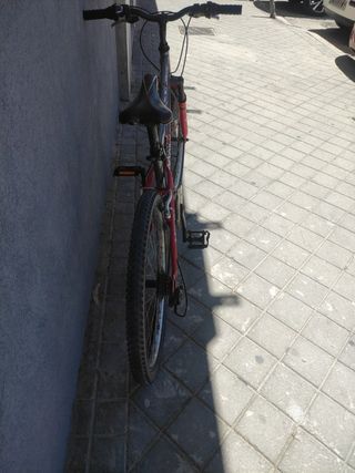 Bicicleta montaña Boomerang negociable