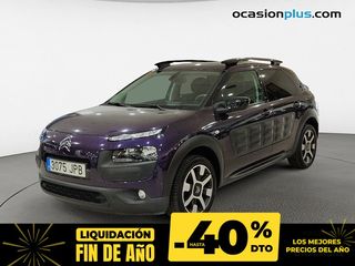 Citroen C4 Cactus BlueHDi 100 Shine 73 kW (100 CV)