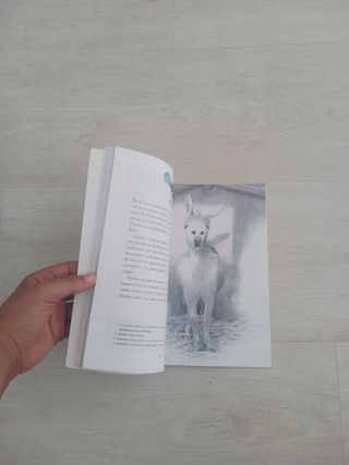 Platero y yo (Serra Miramar 1º ESO)