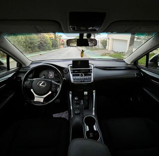 Lexus NX 2015