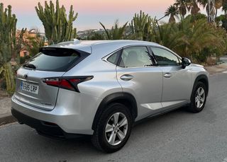 Lexus NX 2015