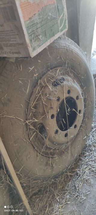 Llantas Michelin Pegaso usadas