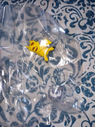 Pikachu & Carbink Pokémon