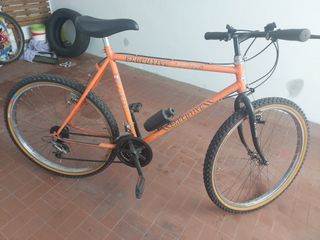 Mountain Bike 26" usata