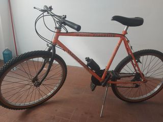 Mountain Bike 26" usata