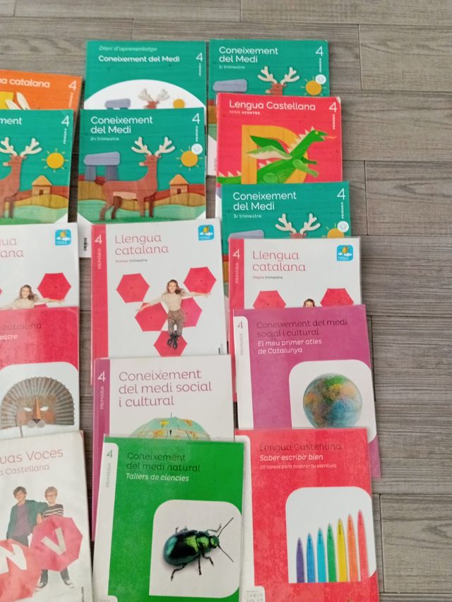 Nuevas Voces, 4 Primaria