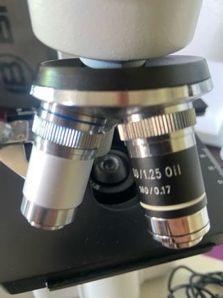 Microscopio Bresser Erudit DLX