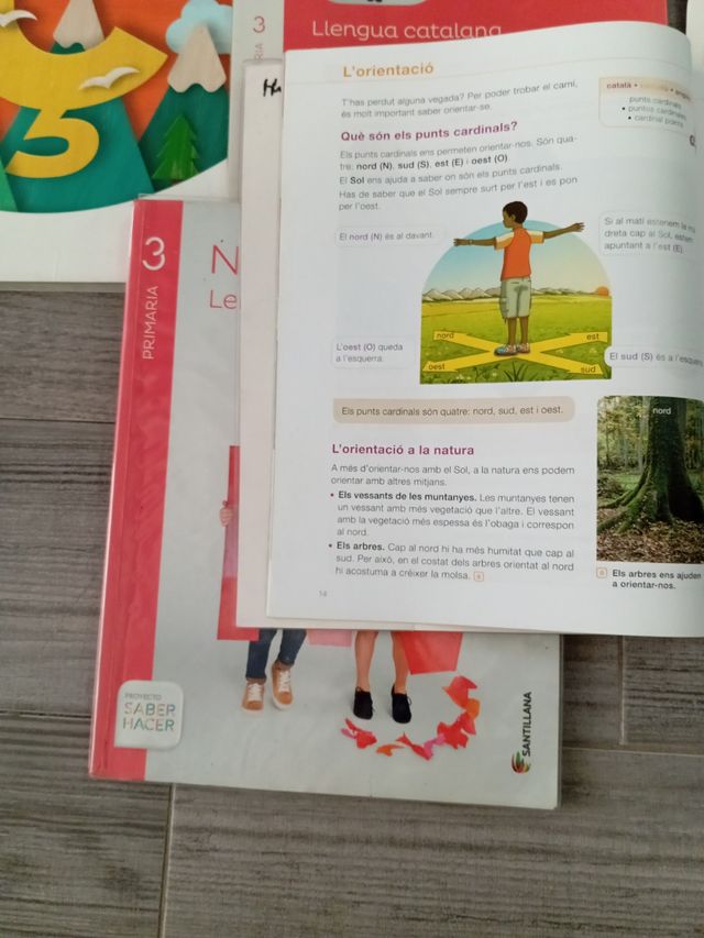 Coneixement Del Medi Social I Cultural