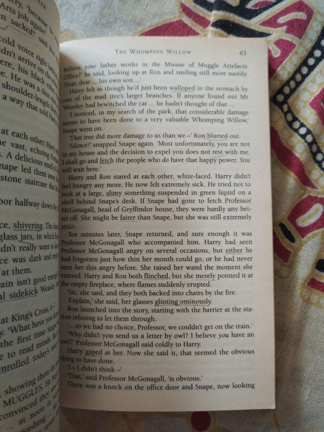 Harry Potter and the Chamber Of Secrets