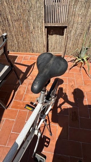 Bicicleta Dahon Wobbegong urbana