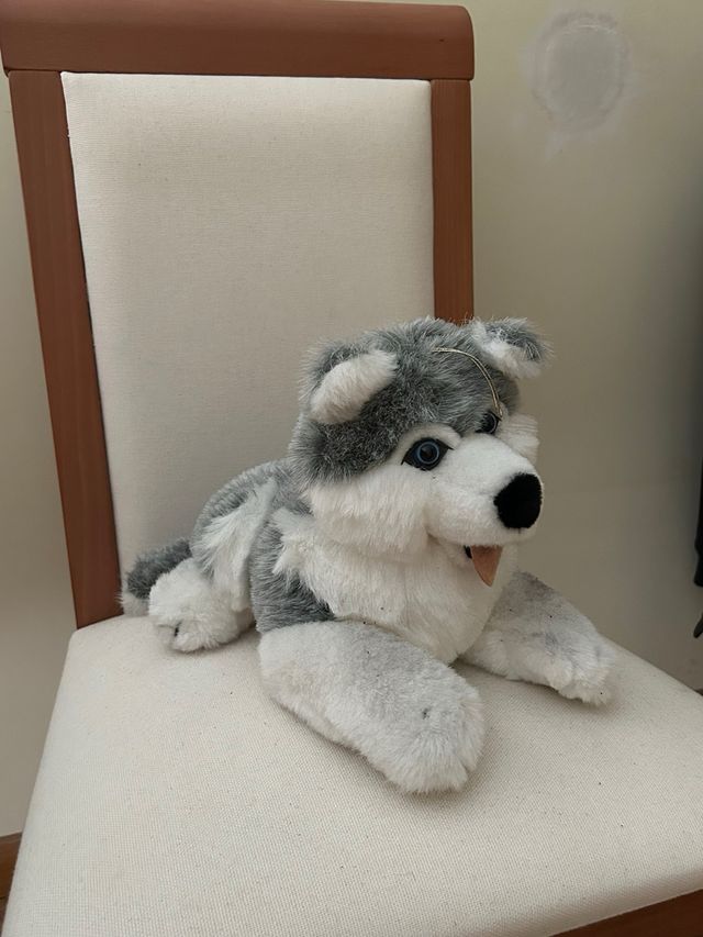 Perro Husky de Peluche