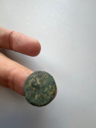 Moneda Ibérica Carteia