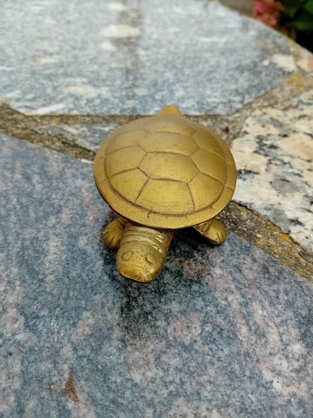 Tortuga de bronce
