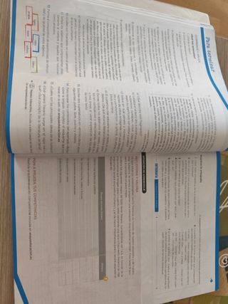 Lengua y Literatura 4° ESO