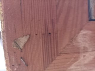 Cuadro óleo marinas, marco dorado