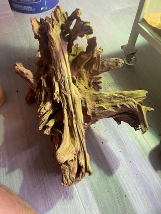 Raíz decorativa terrario