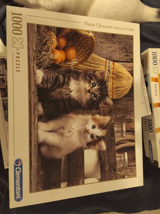 Puzzles
