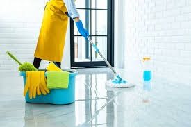 ¿Necesitas ayuda con la limpieza de tu hogar? ¿Te