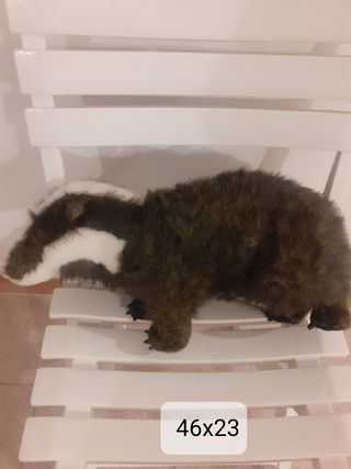 Peluche Tasso - 46x23cm