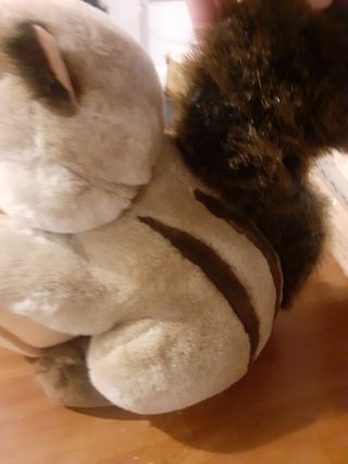 Peluche scoiattolo con noce