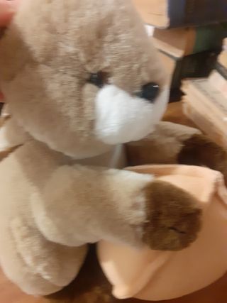 Peluche scoiattolo con noce