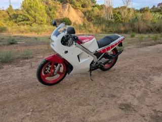 Yamaha TZR 250 2MA - Moto