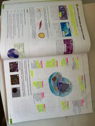 Biología y Geología. 3 Secundaria. Revuela