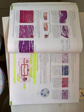 Biología y Geología. 3 Secundaria. Revuela